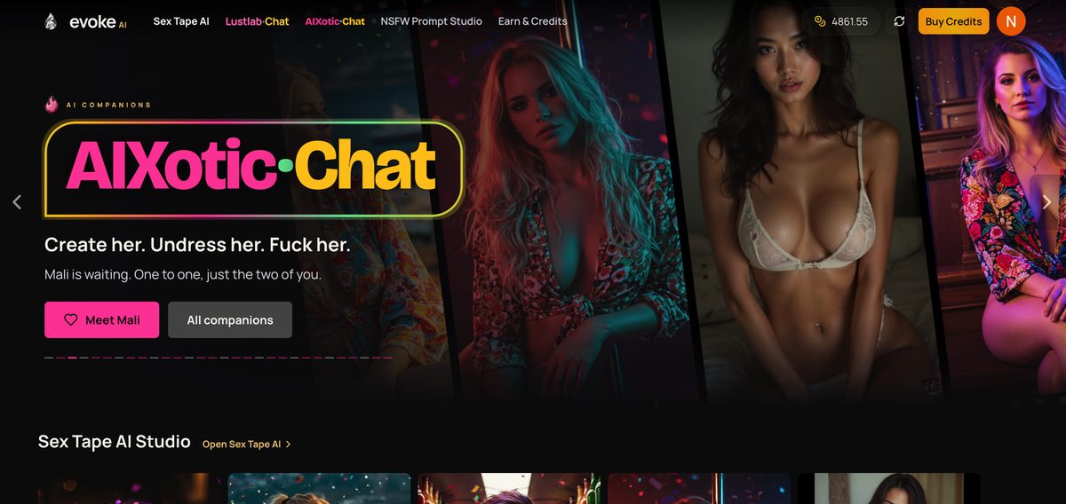 AIXotic.Chat demo frame